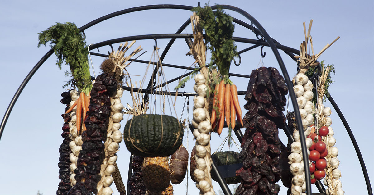 vegetables hanging from metal arches
